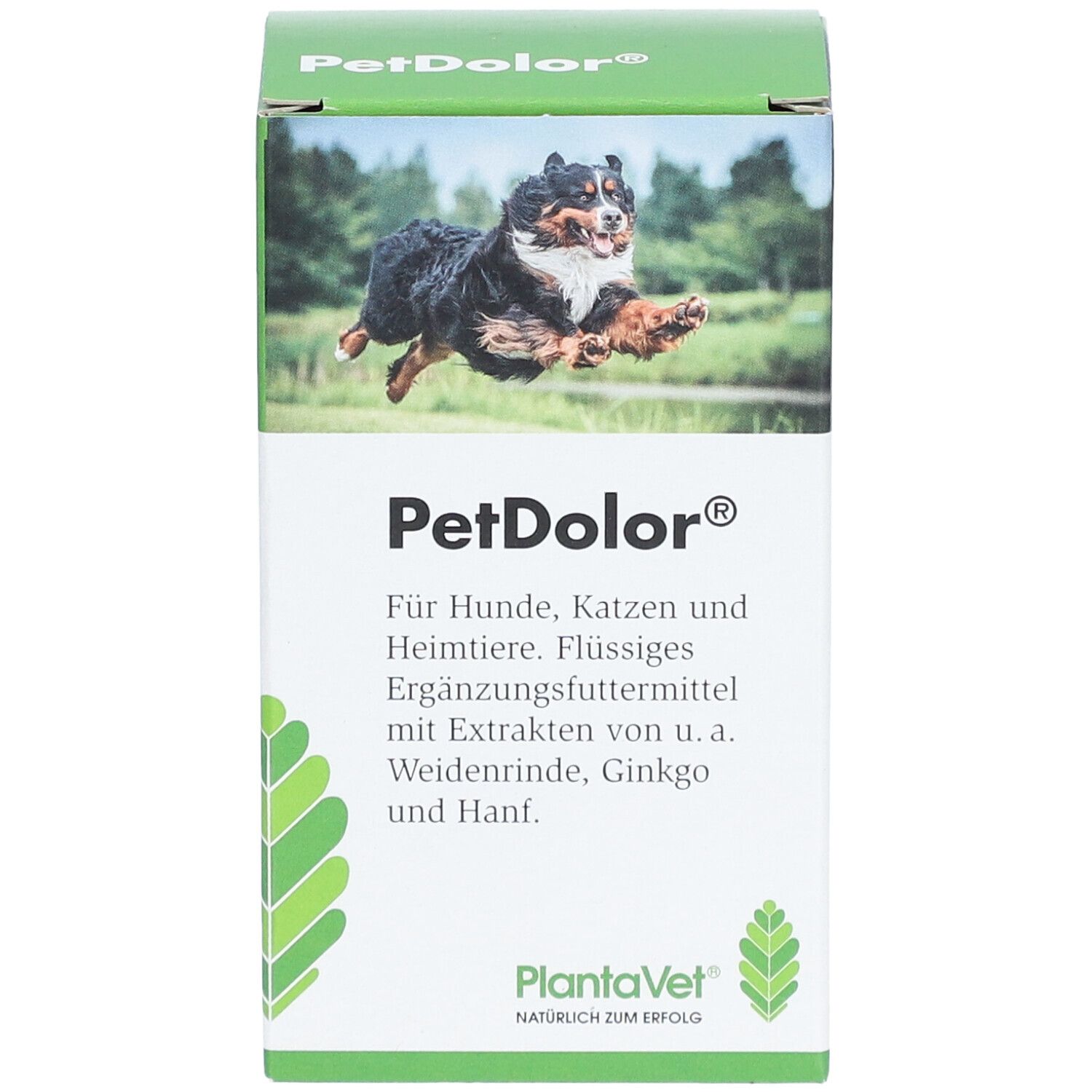 PetDolor