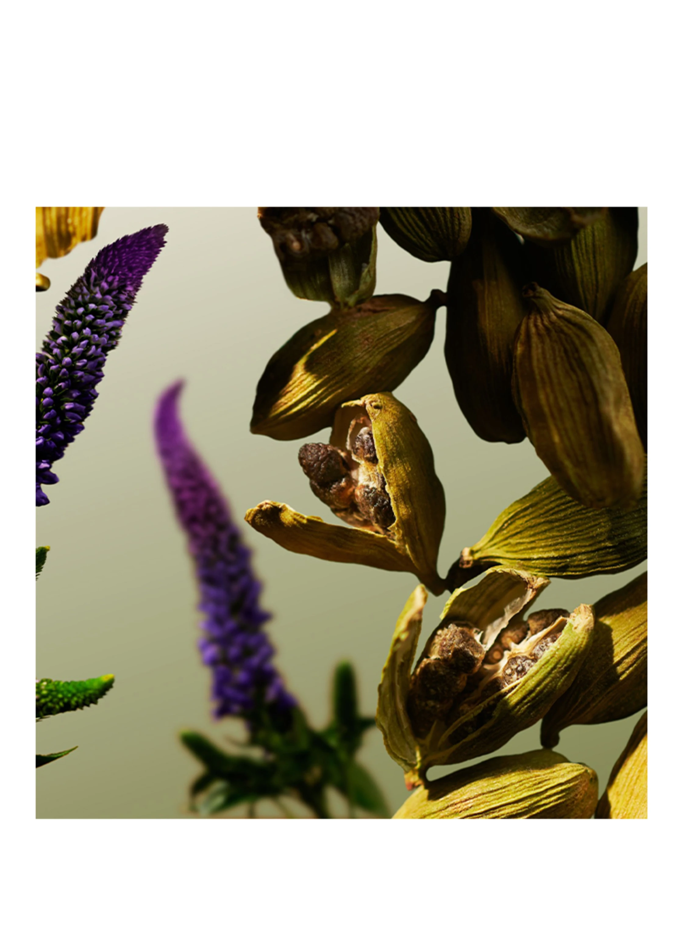 RITUALS L'ESSENTIEL