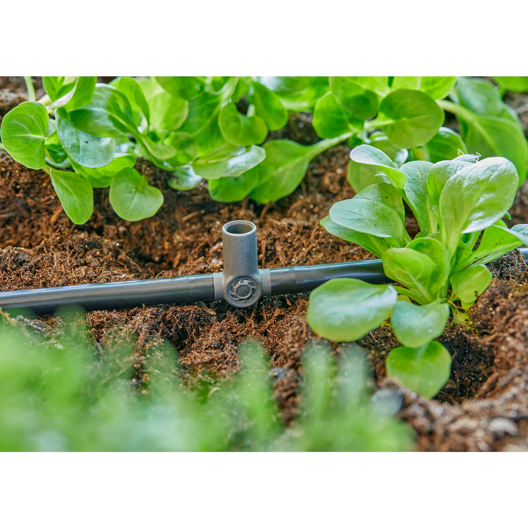 GARDENA Verbindung Micro-Drip-System T-Stück für Sprühdüsen/Endtropfer, 4,6mm (3/16