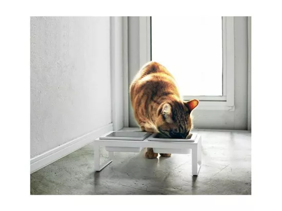 Double gamelle design surélevée pour chat Tower