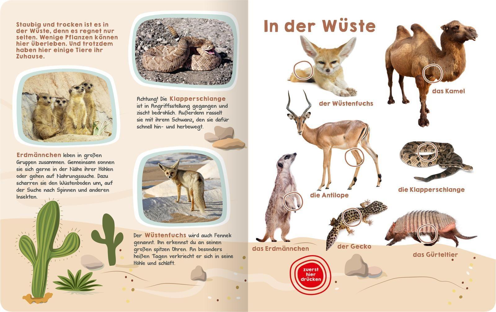 Was hörst du hier? - Wilde Tiere