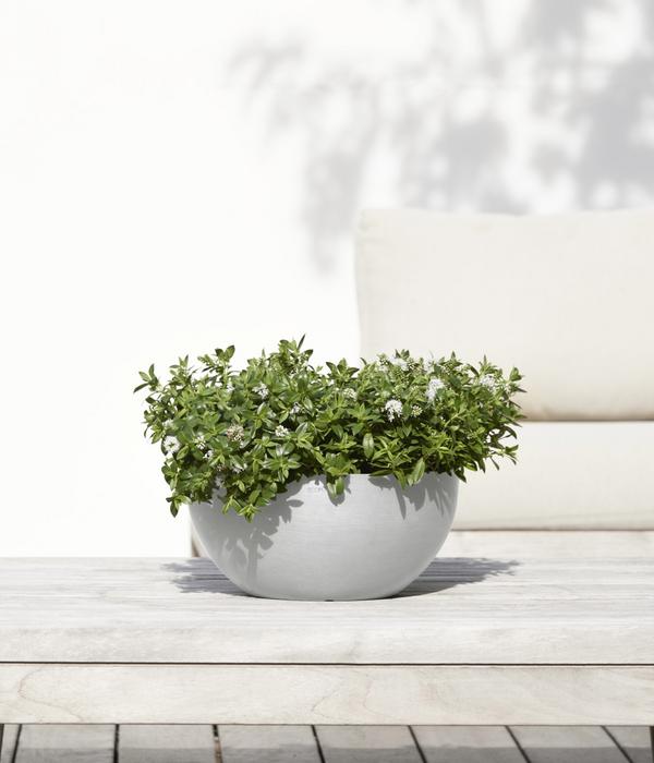 Ecopots Kunststoff-Topf Brussels, rund