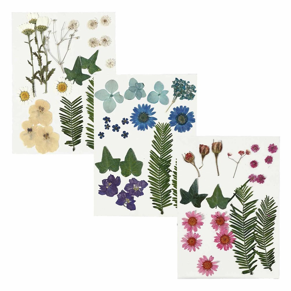 3 bouquets de fleurs séchées - rose-bleu-beige
