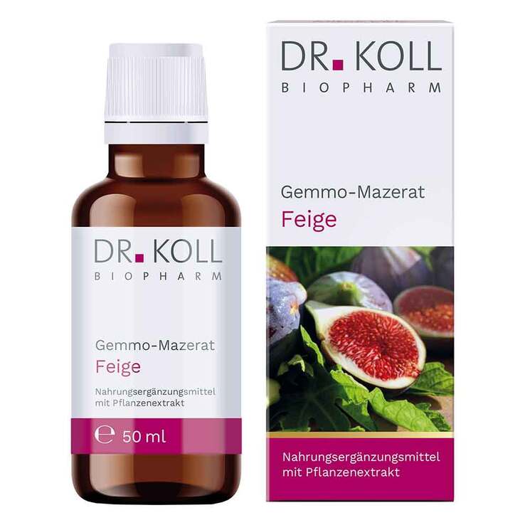 Gemmo Mazerat Feige Dr. Koll Ficus carica Tropfen, 50 ml