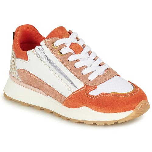 Bullboxer -  - Orange / Blanc / Marron