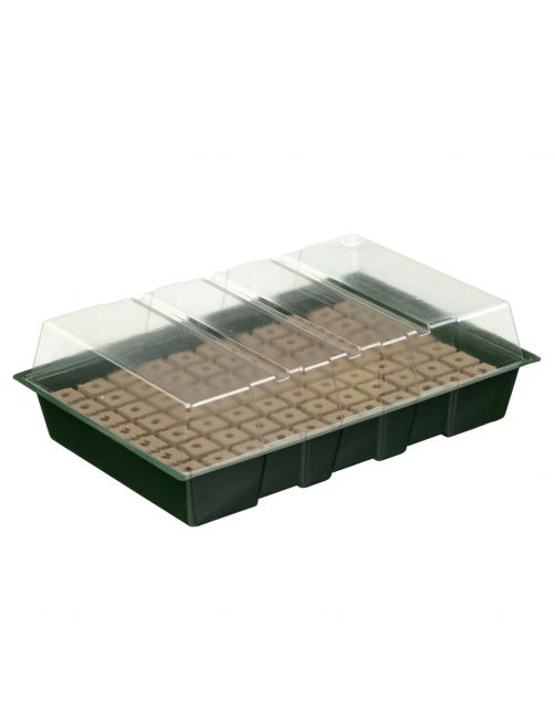 Nature Kweekbakset - Kweekbakken - 23.5x35x11 cm Groen Transparant