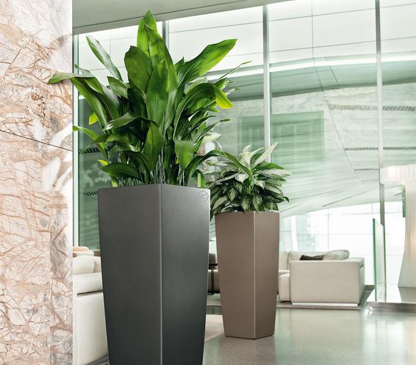 LECHUZA® CUBICO ALTO, All-in-One-Set, ca.