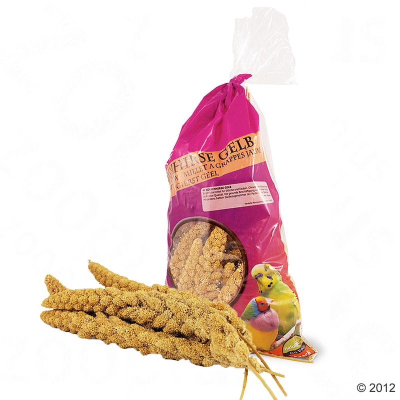 Millet jaune des oiseaux JR Farm