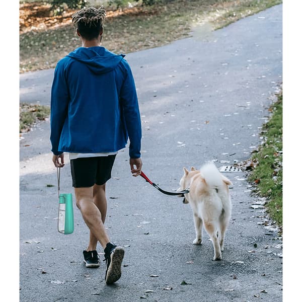 INF Bærbar Vannflaske for Kjæledyr - 550ML Blå