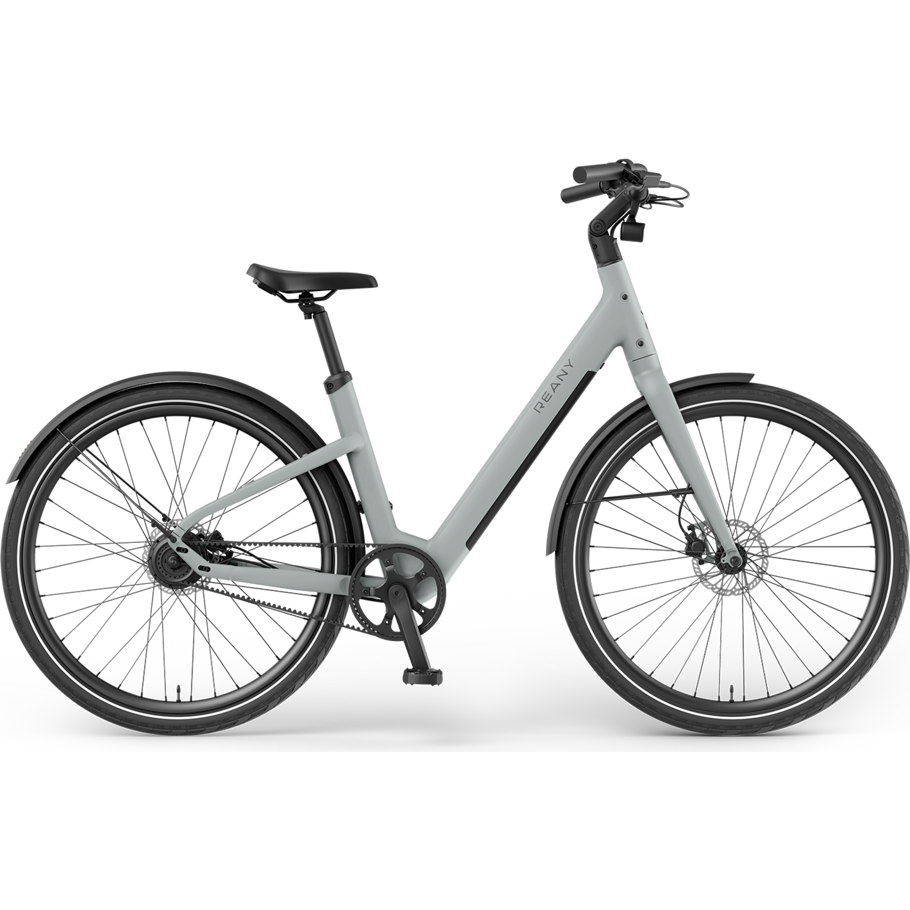 Reany V1 Vivo