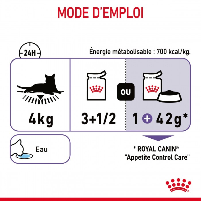 ROYAL CANIN Appetite Control en Gelée – Pâtée pour chat