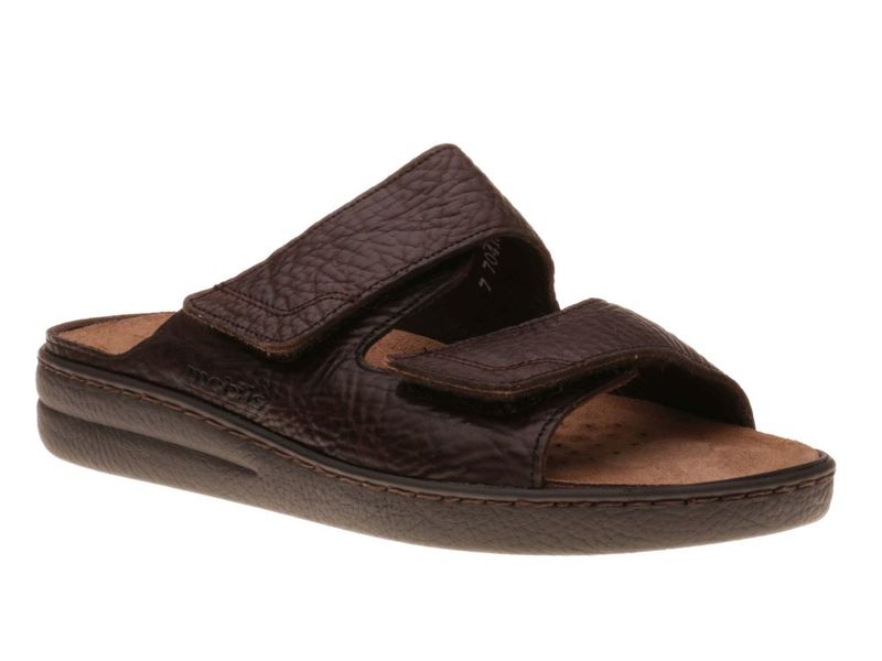 Mephisto James Bruin