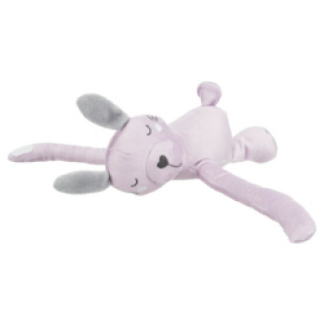 Set de bienvenue avec couverture et jouets pour chiot Trixie