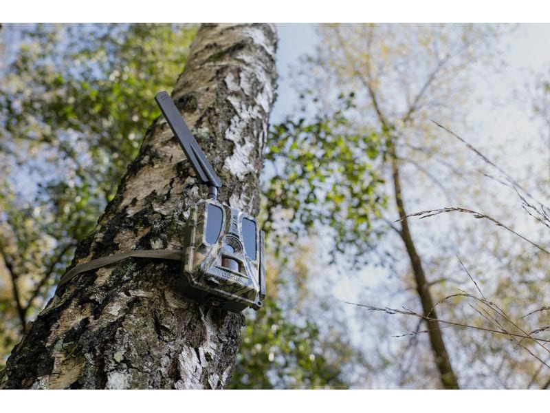 Dörr Kamera Wildkamera SnapShot Cloud Pro 4G WA Weitwinkel Überwachungskamera für hochauflösende Wildtierbeobachtung und Sicherheitsüberwachung