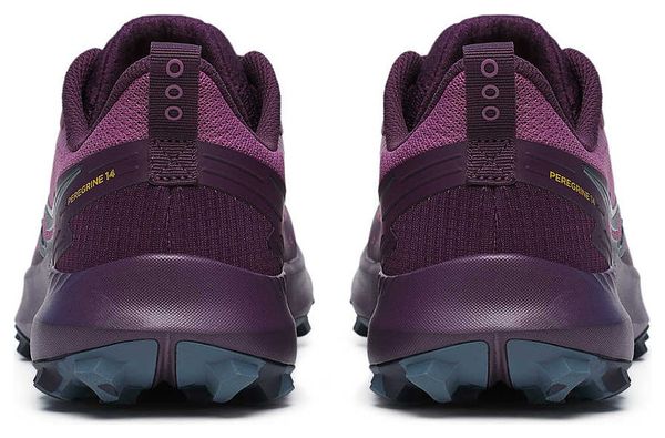 Chaussures Trail Saucony Peregrine 14 Violet Femme