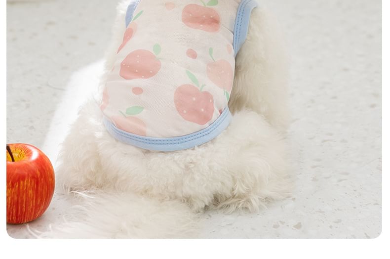 Cissilli - Fruit Pet Top (verschillende ontwerpen)