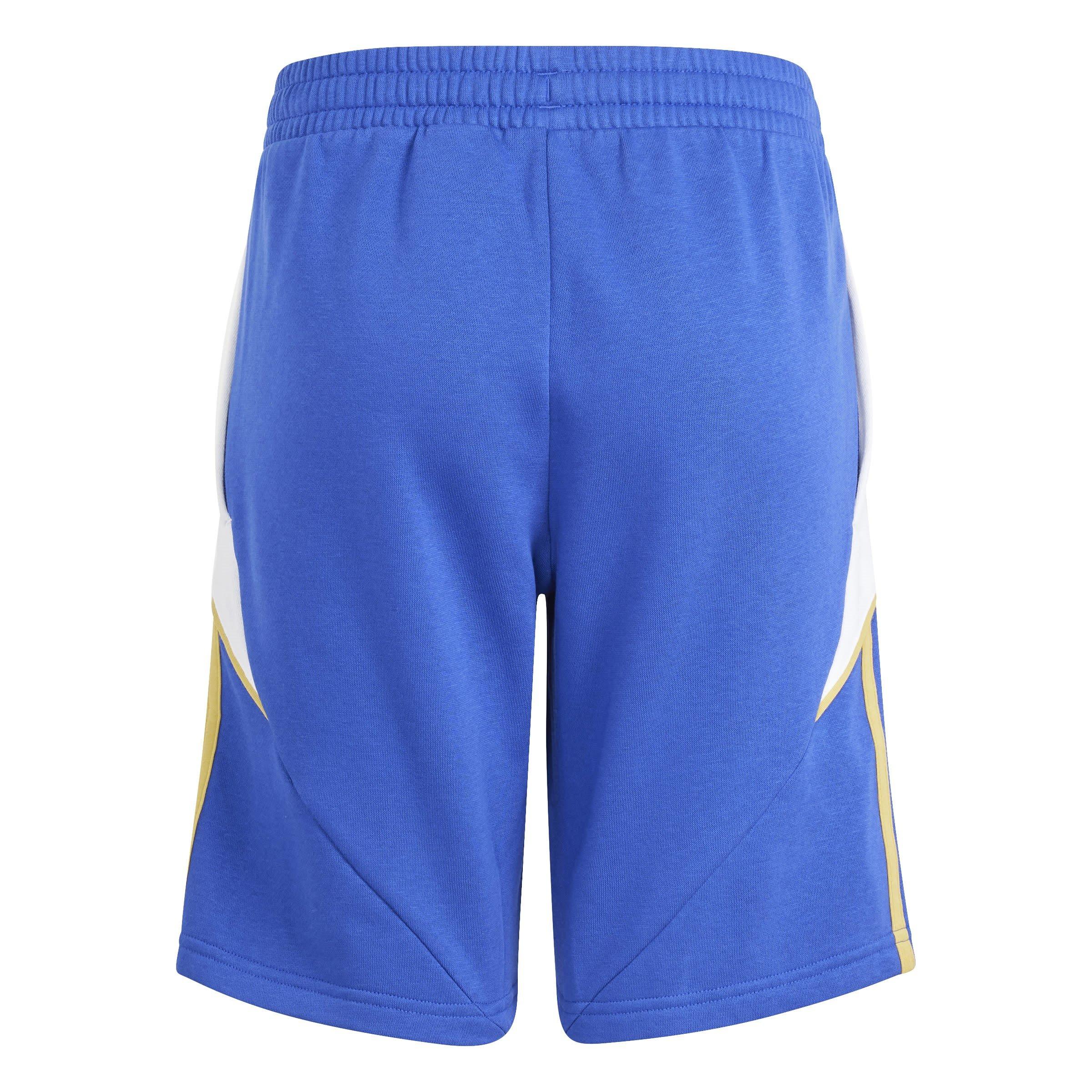 adidas Messi Argentina Training Shorts 2024 Juniors