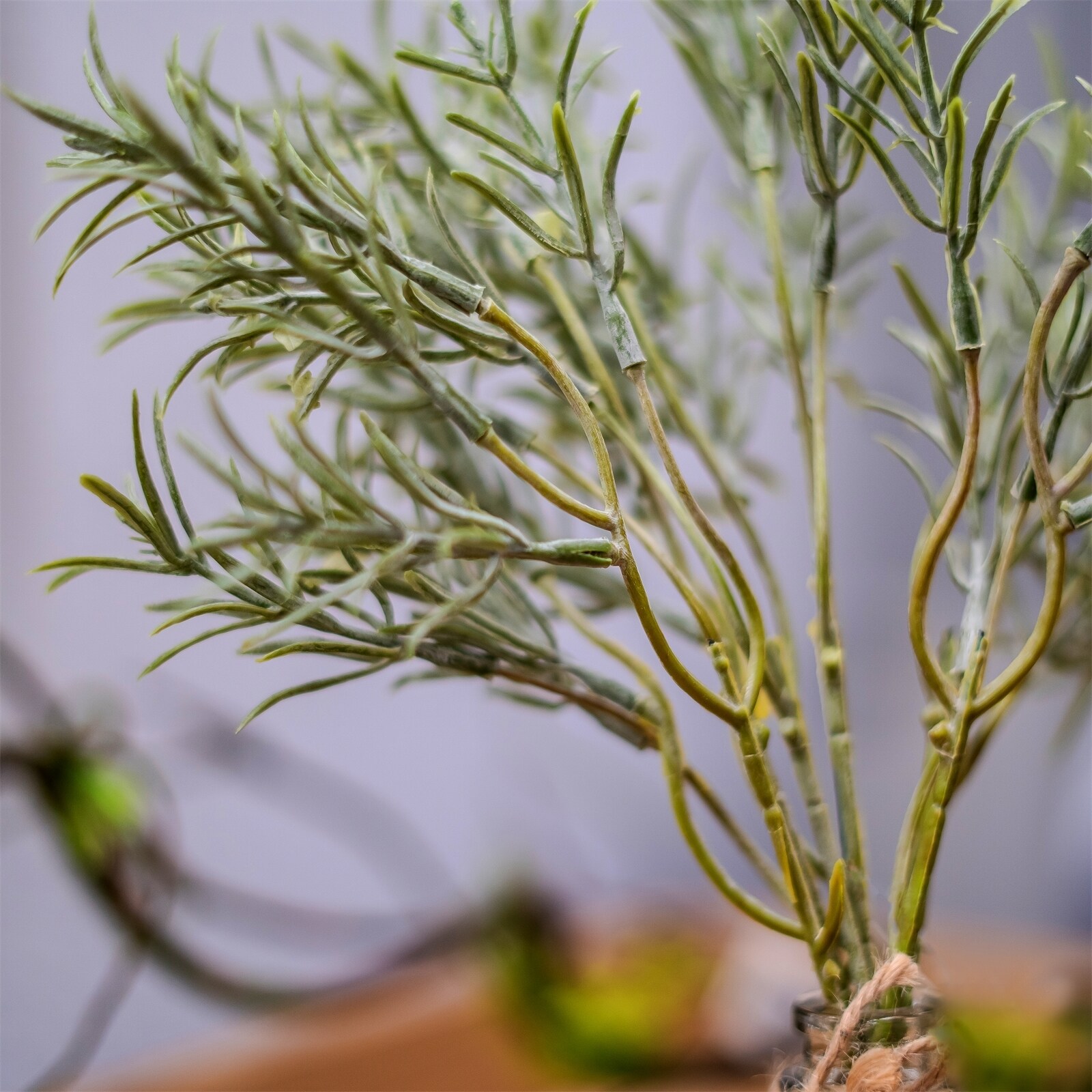 HTI-Living Rosmarin in Vase Kunstpflanze Flora