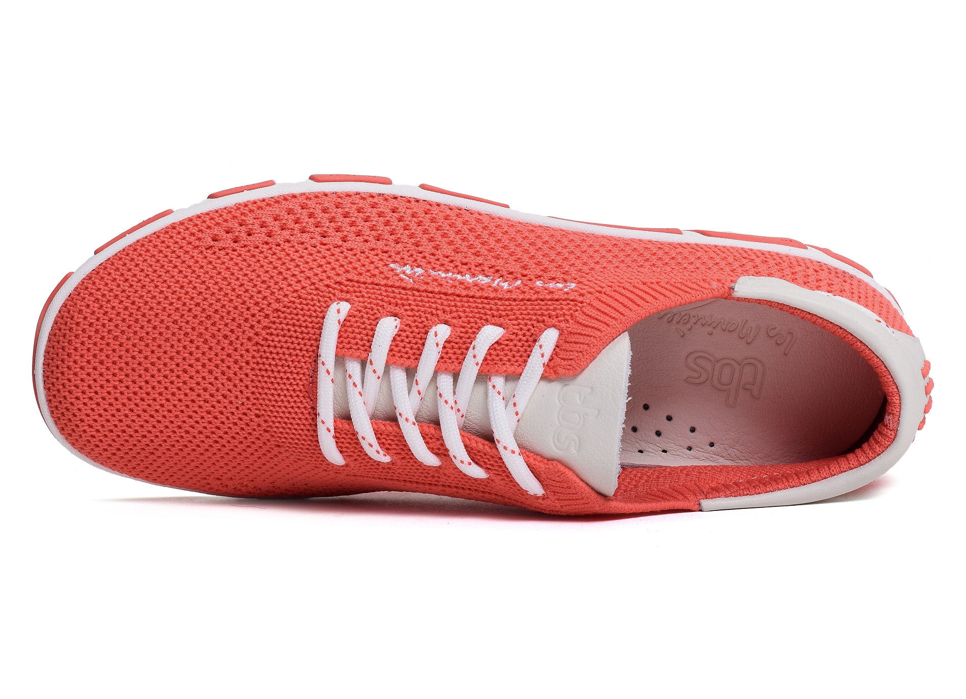 Jazaria corail