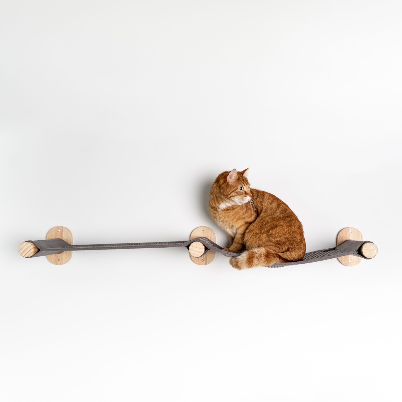 RHR Quality RHRWandmöbel Mauerbrücke Katze anthrazit