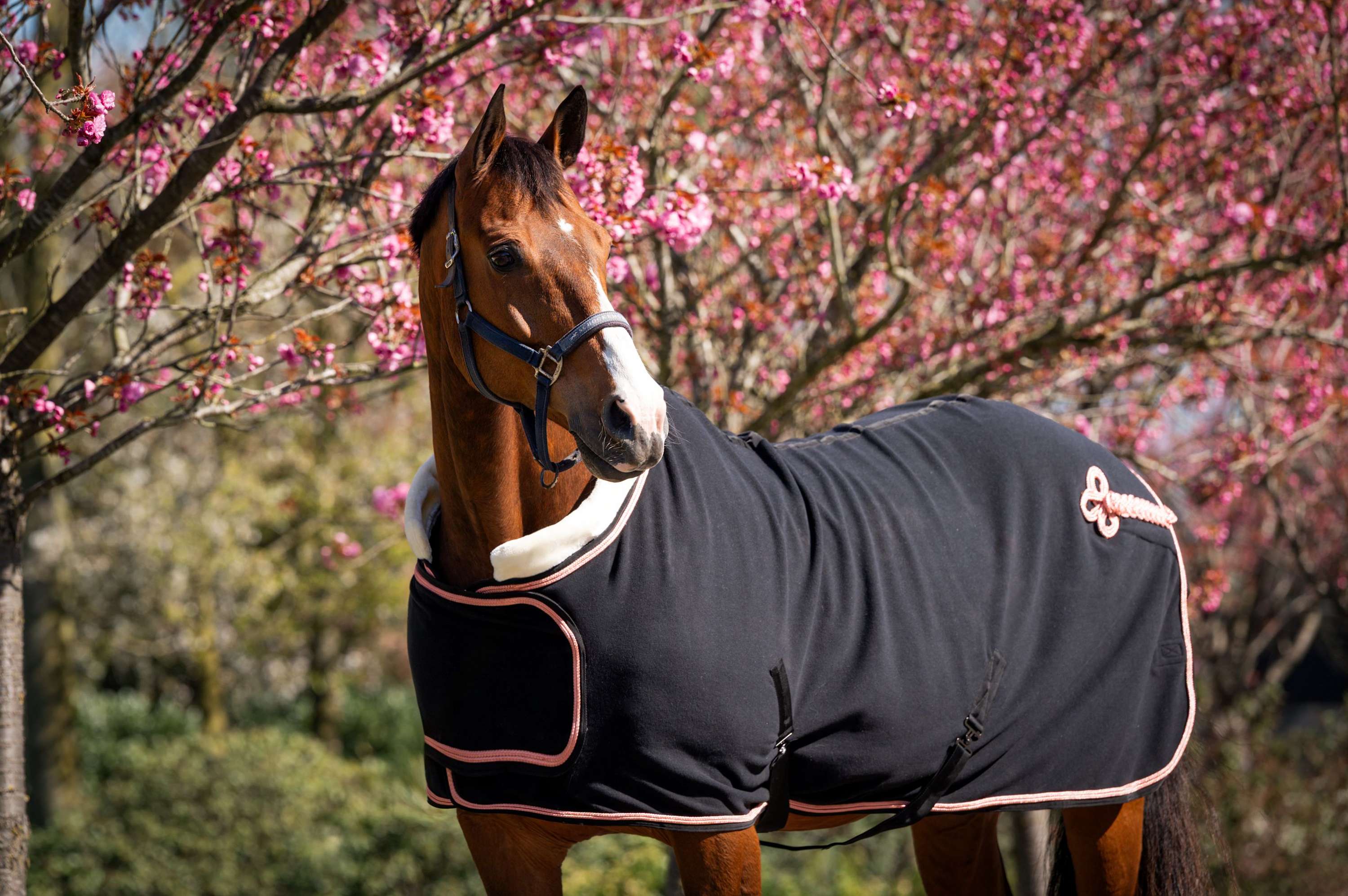 HB Showdeken Showtime Rose Gold Zwart