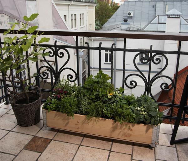 Upyard Holz-Kräuterkasten HerbsBox mit