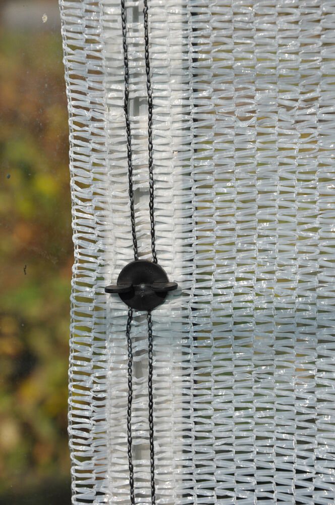 Royal Well Snapshots - Kas accessoire