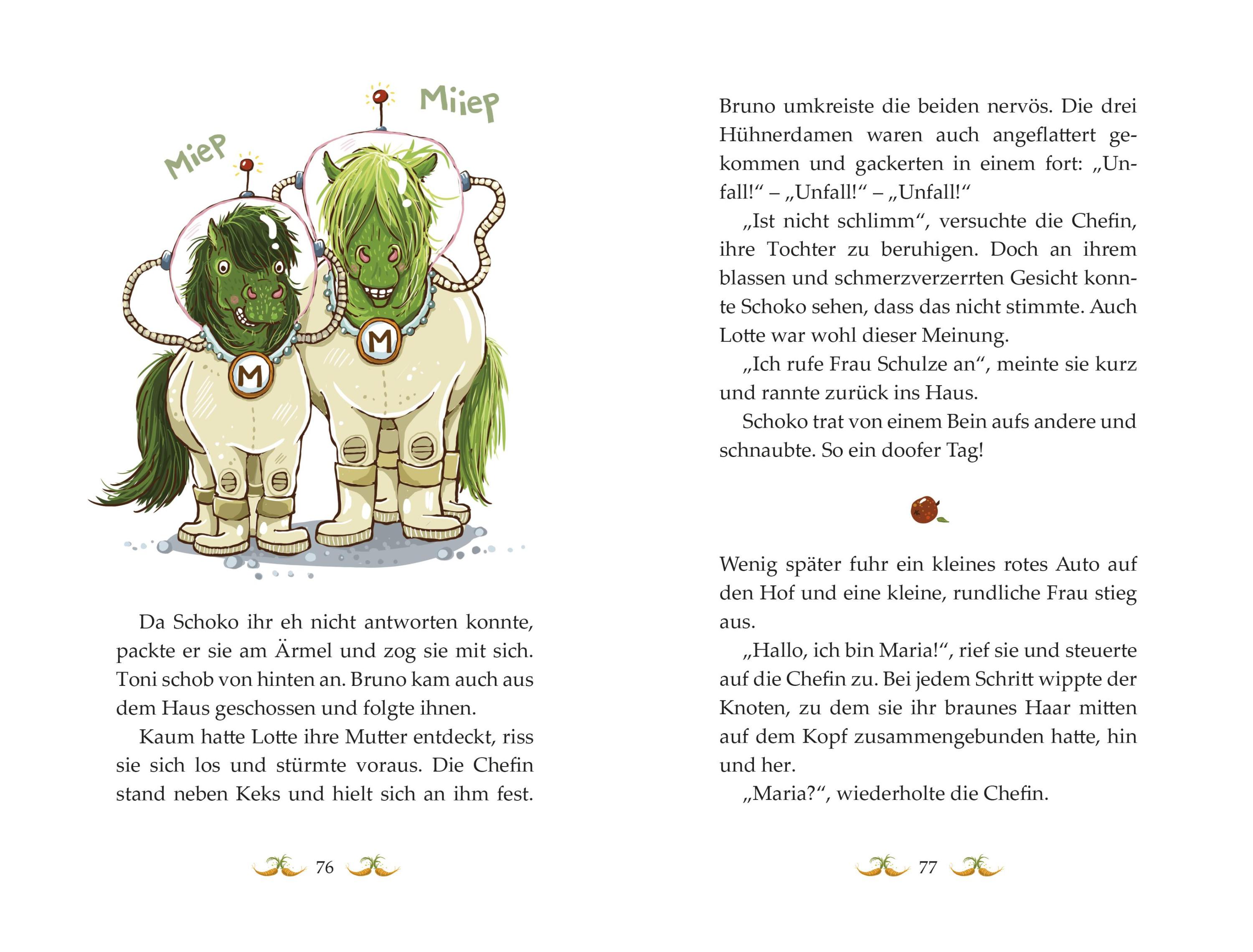 Flausen im Schopf / Die Haferhorde Bd.1