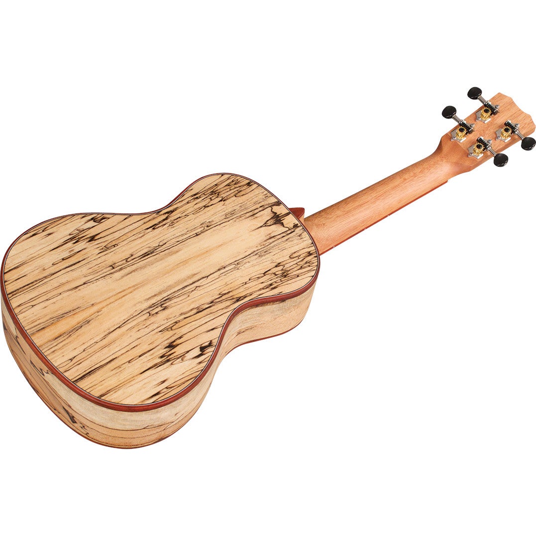 Cordoba 24C concert ukelele met sparrenhouten top