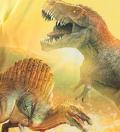Molo T-Shirt - Rosa - Sunny Dinos