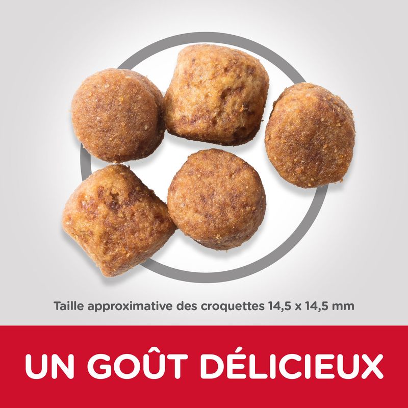 Hill's Science Plan Adult 1+ Healthy Mobility Large poulet - bitiba.fr