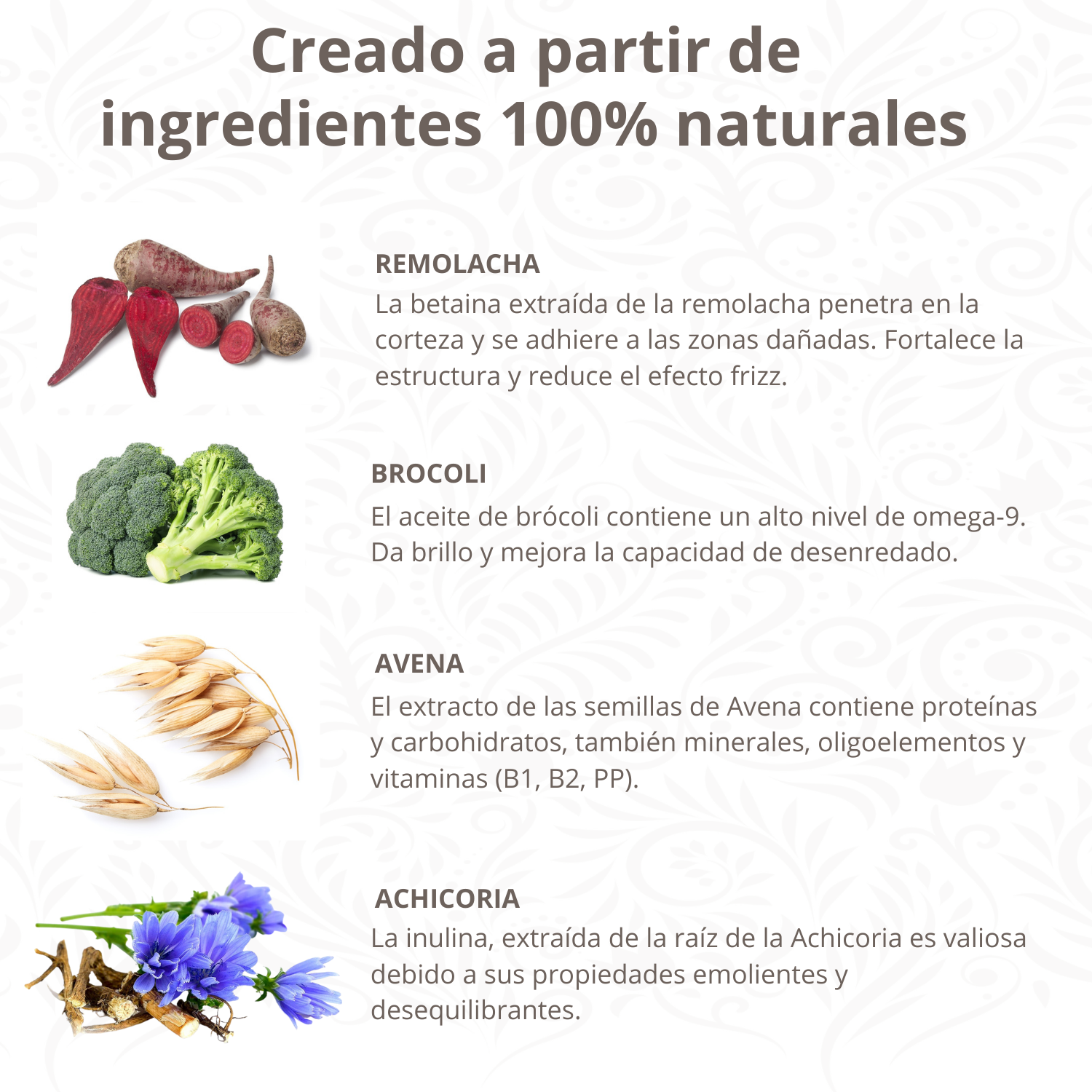 Shampoo natural para cães com condicionador