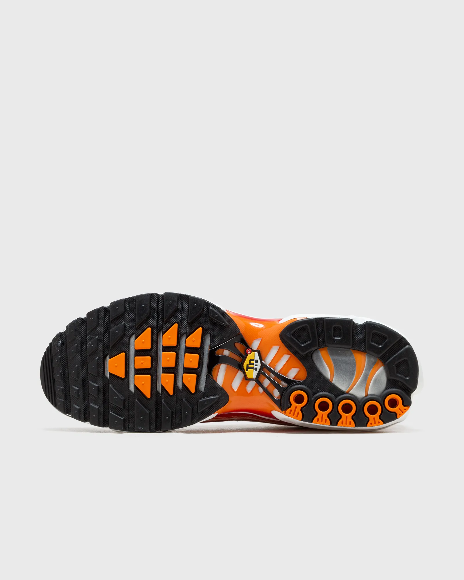 Nike NIKE AIR MAX PLUS OG 'LIGHT PHOTOGRAPHY'