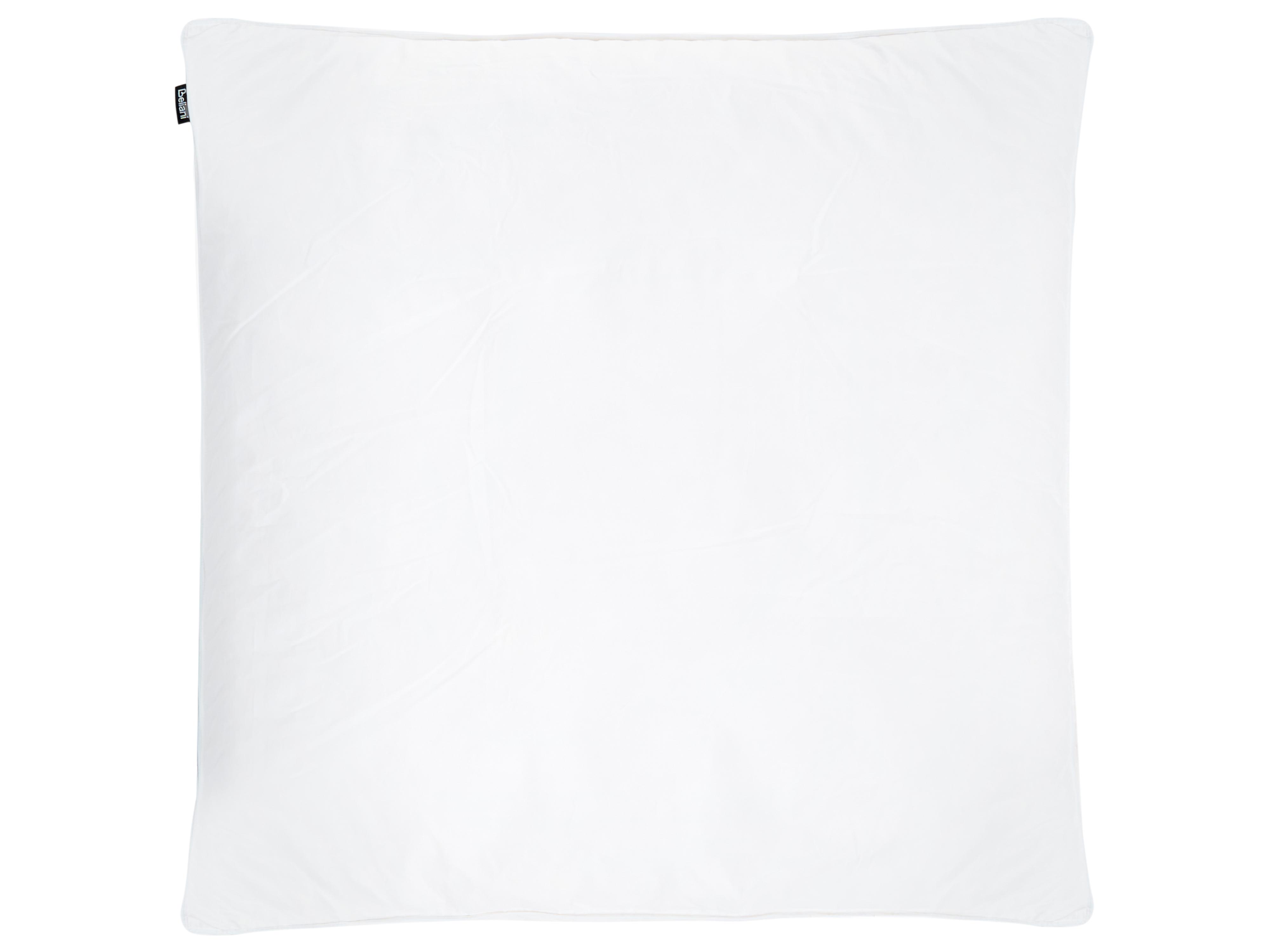 Set van 2 kussens FELDBERG Hoog Eendenveren en eendendons 80 x 80 cm Wit