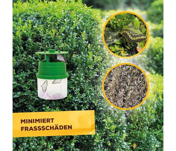 Solabiol® Buchsbaumzünsler-Falle