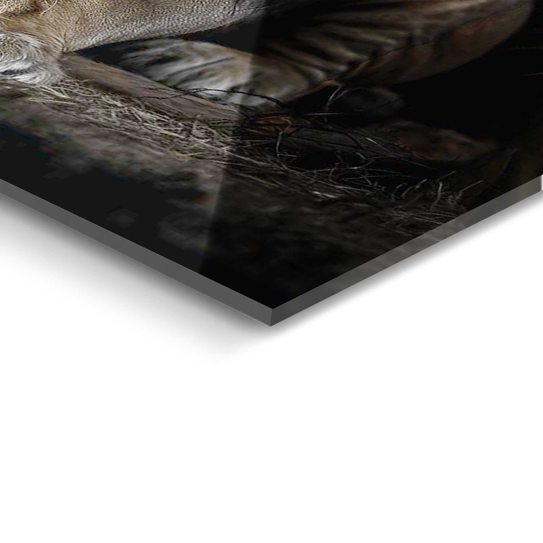 Deco Glass LION FAMILY - 70x100 cm