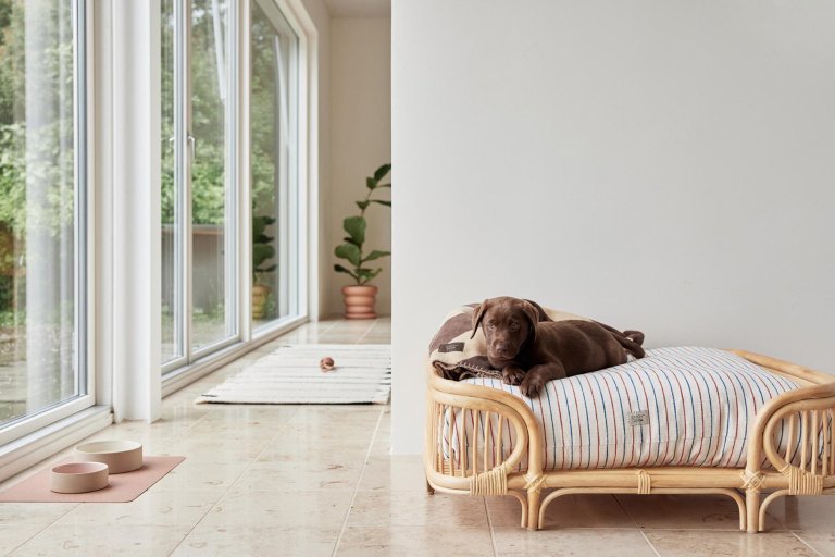 OYOY Otto hondenmand Medium rattan