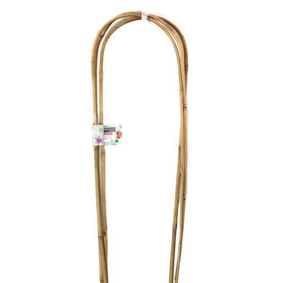 Lot de 3 tuteurs arceaux bambou Diam. 8/14 mm H. 90 cm