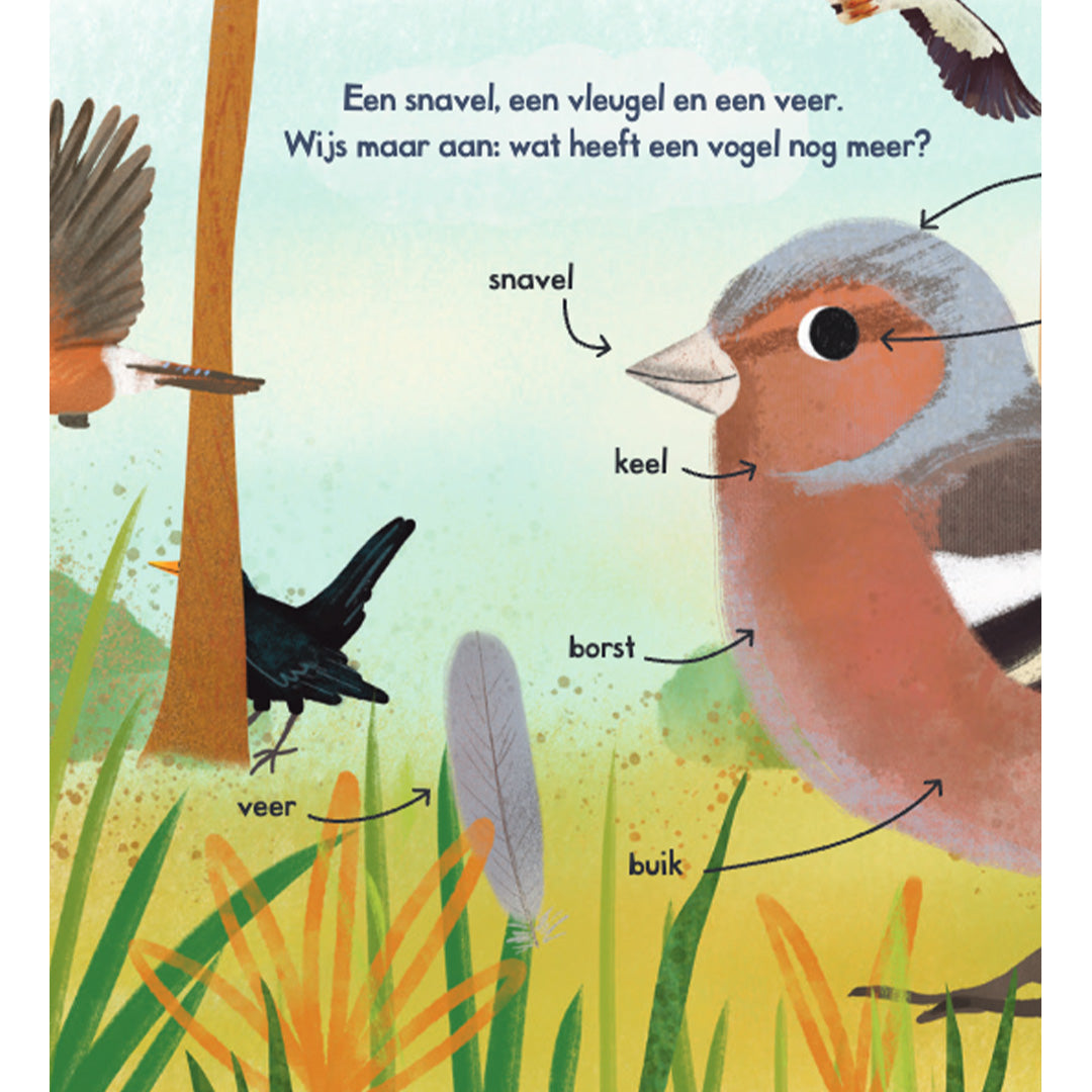 uitgeverij lemniscaat welke vogels zie jij?