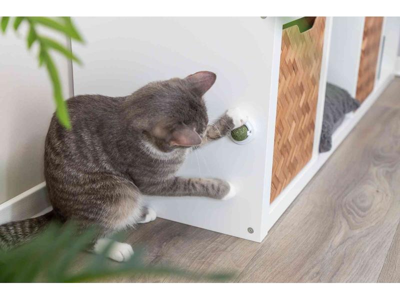 Trixie Katzenminze Ball mit Halterung, ø 5 cm Snack-Spielzeug