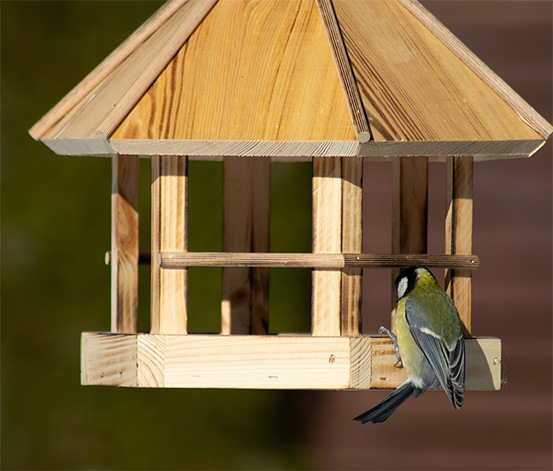 Vogelfutterhaus »Caliente«