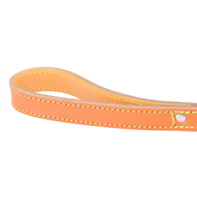 Laisse courte 50 cm en cuir pour chien