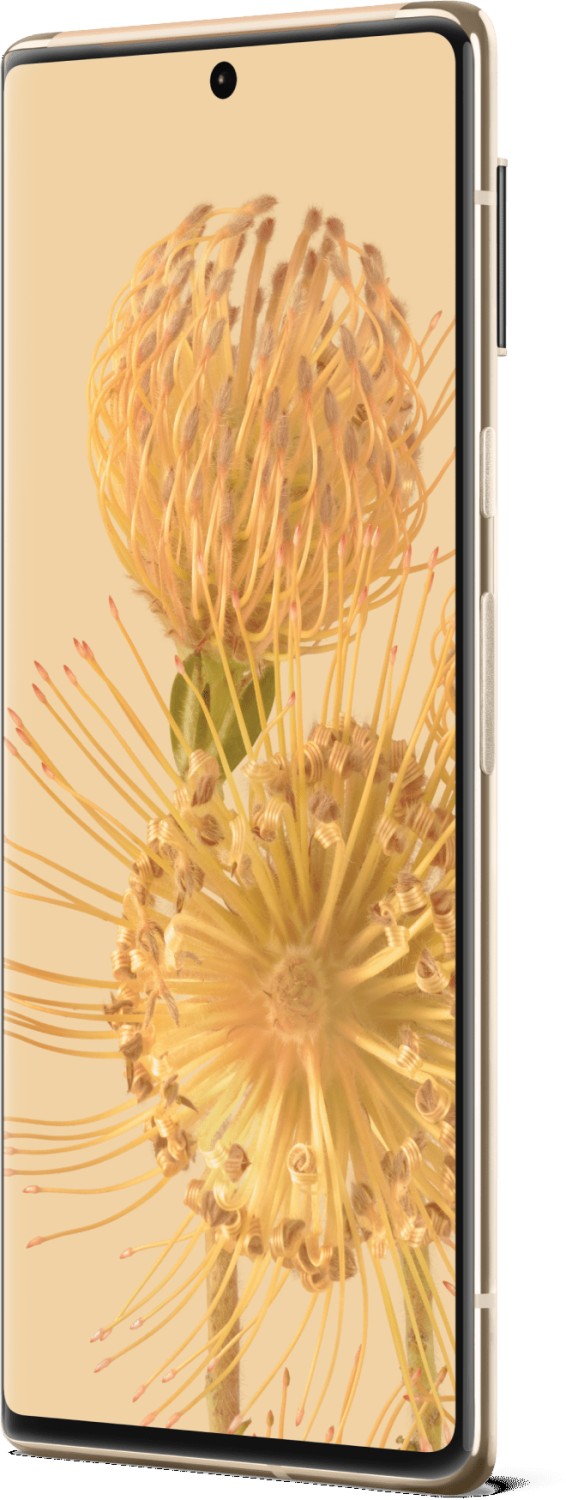 Google Pixel 6 Pro