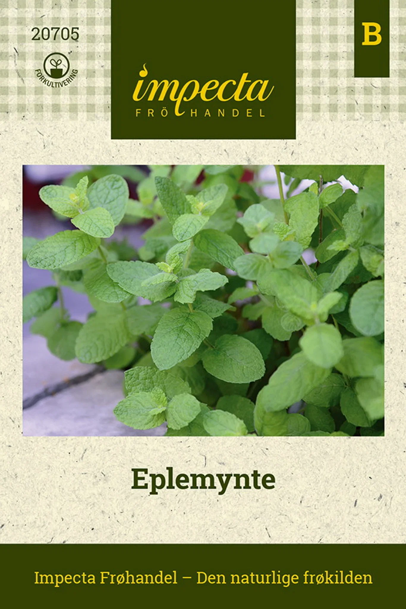 Mentha suaveolens Eplemynte