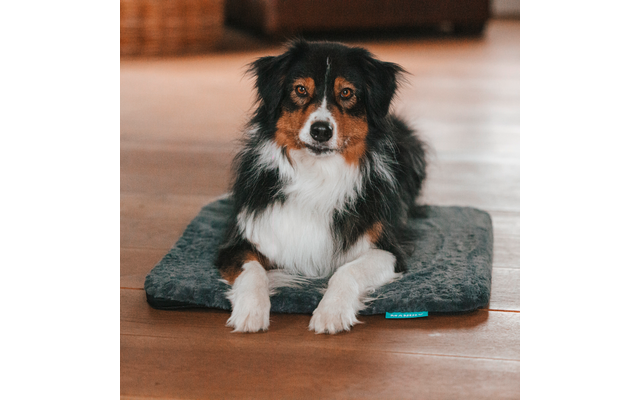 Manuly Hundematte selbstaufblasende Hundedecke