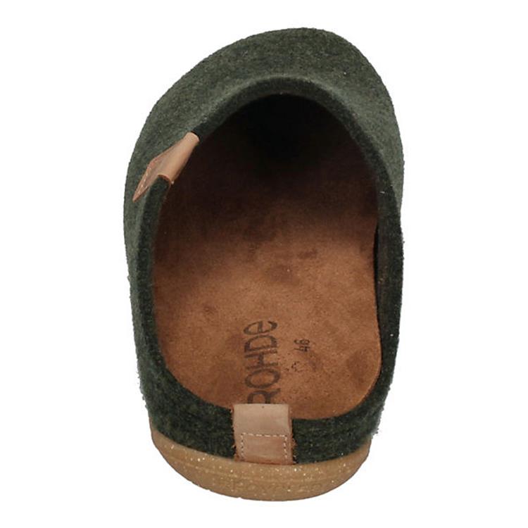Rohde 6920 cactus