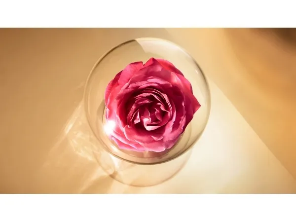 LANCOME ABSOLUE RICH CREAM 60ML