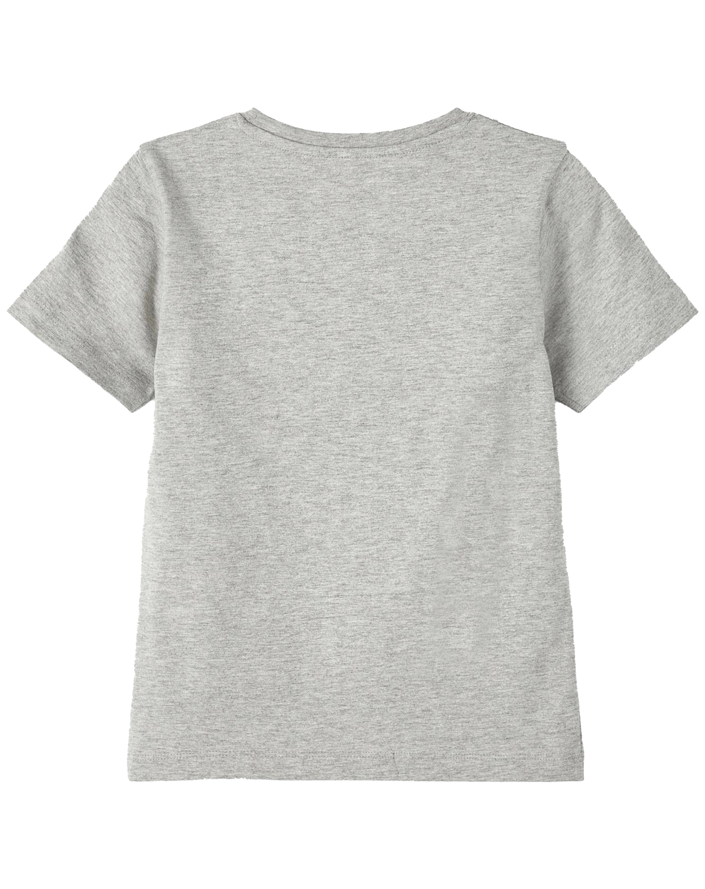 T-Shirt NKMNIKHIL POKEMON in grey melange