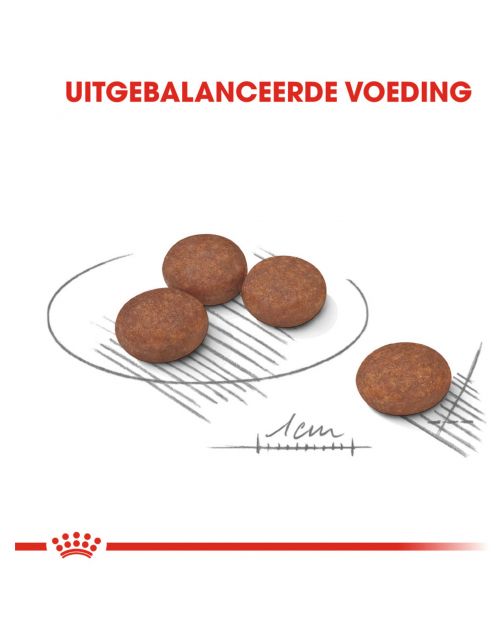 Royal Canin Digestive Care Mini - Hondenvoer