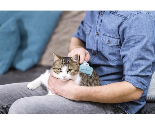 FURminator Cat DeShedding Kam S Kort Haar